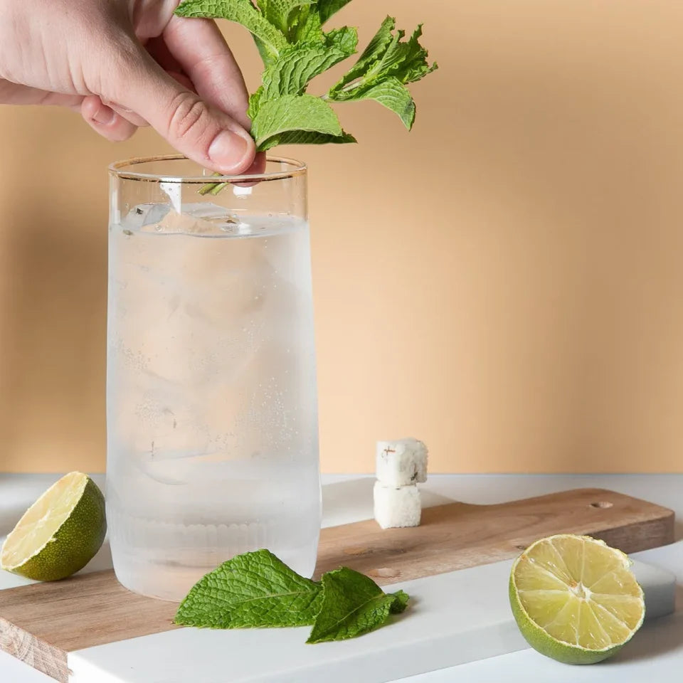 Mojito Luxe Mixology Stick