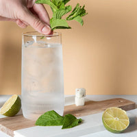 Mojito Luxe Mixology Stick